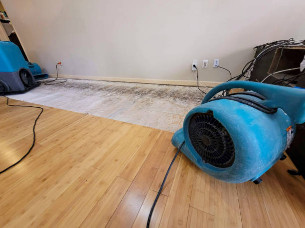 Professional Water Damage Repair technician working in West Chesterfield, NH